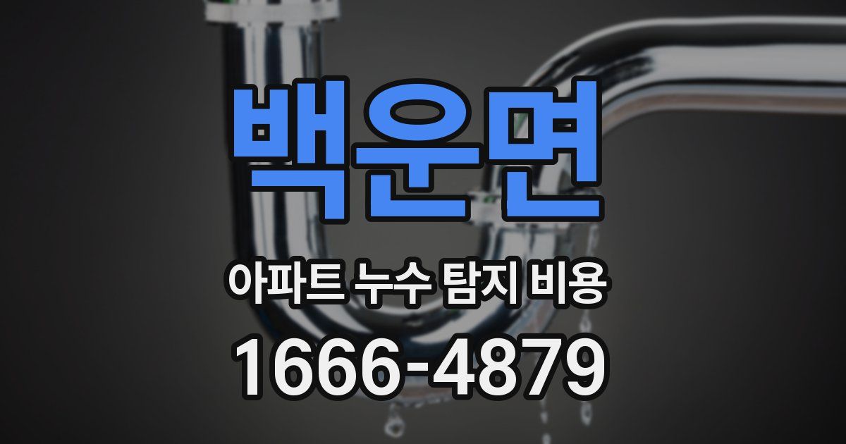 백운면 아파트 누수 탐지 비용