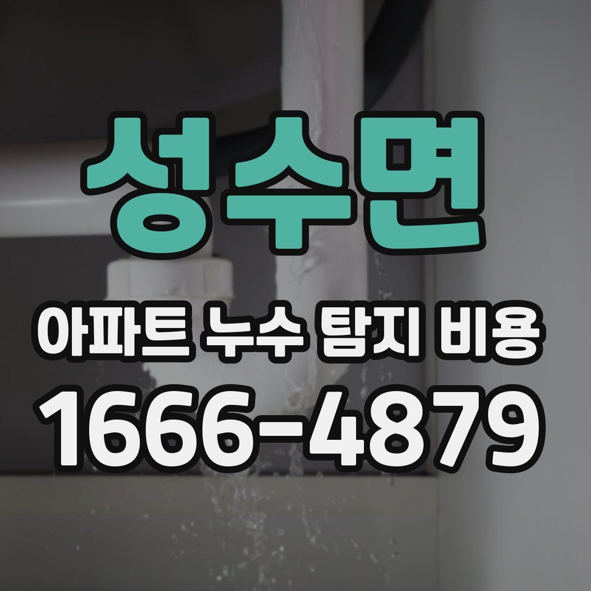 성수면 아파트 누수 탐지 비용