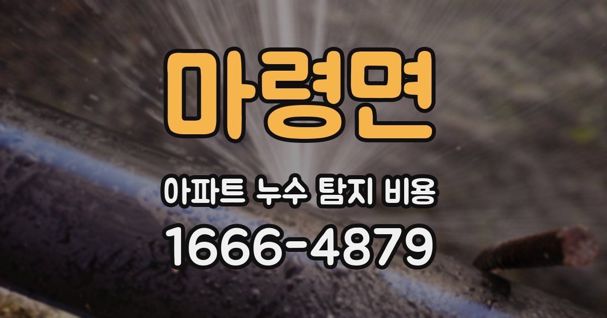 마령면 아파트 누수 탐지 비용