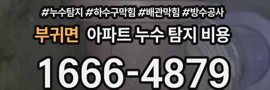 부귀면 아파트 누수 탐지 비용