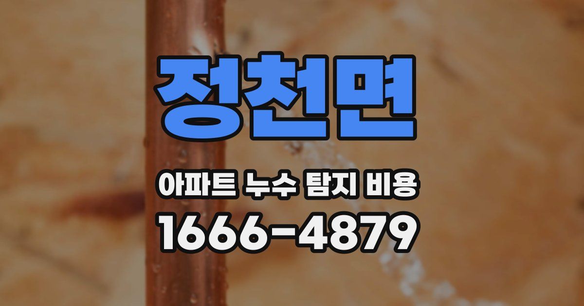정천면 아파트 누수 탐지 비용