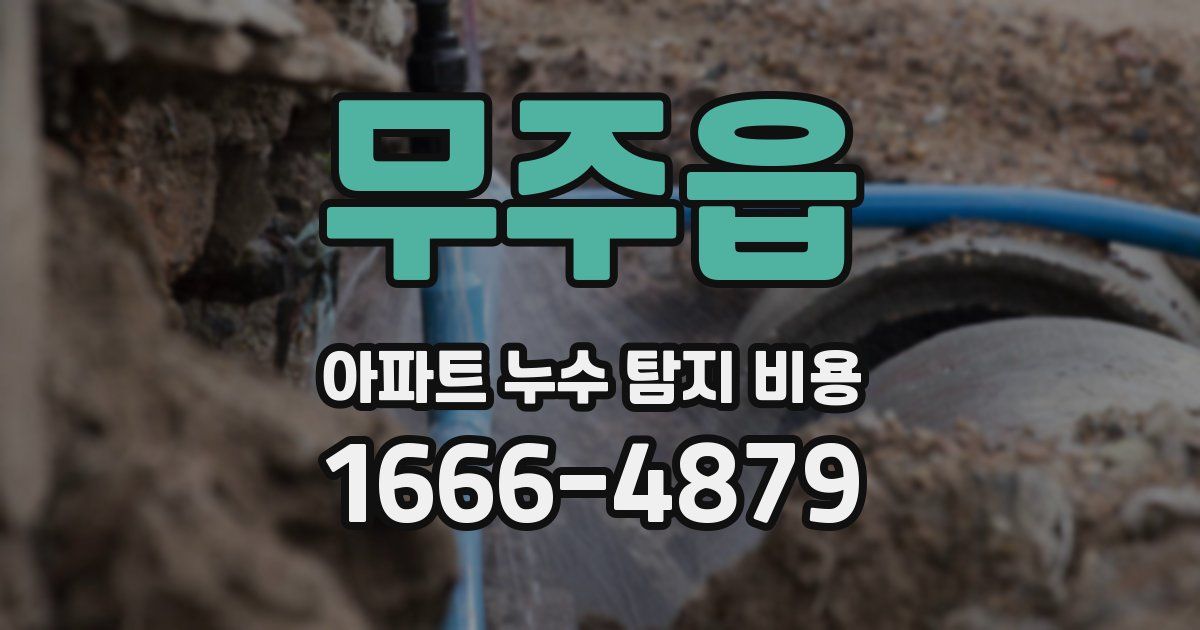 무주읍 아파트 누수 탐지 비용
