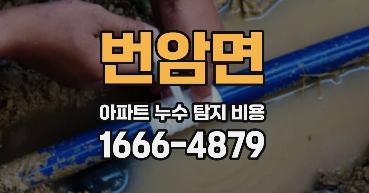 번암면 아파트 누수 탐지 비용