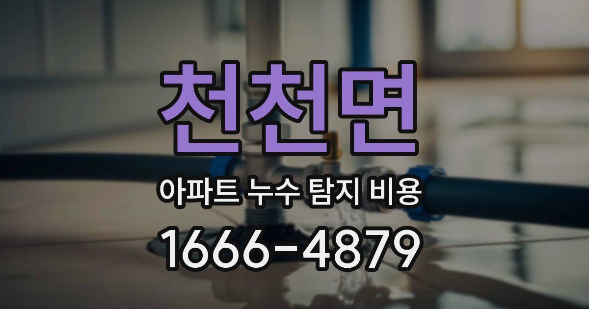 천천면 아파트 누수 탐지 비용