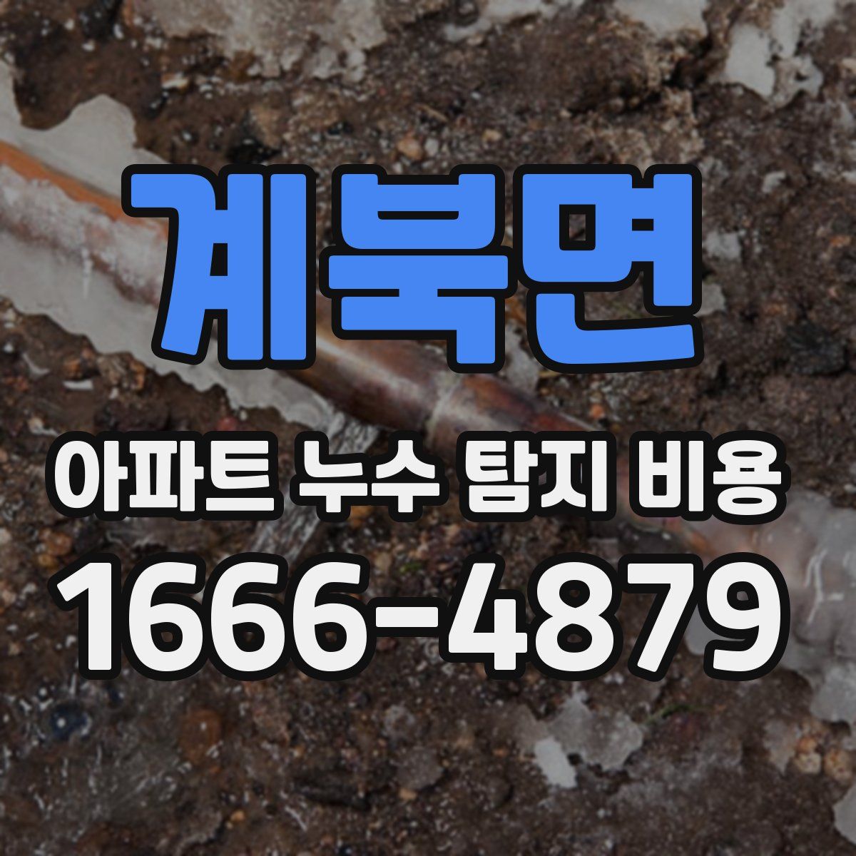 계북면 아파트 누수 탐지 비용