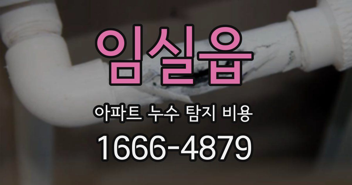임실읍 아파트 누수 탐지 비용