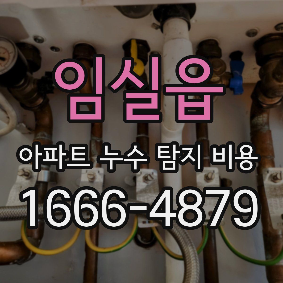 임실읍 아파트 누수 탐지 비용