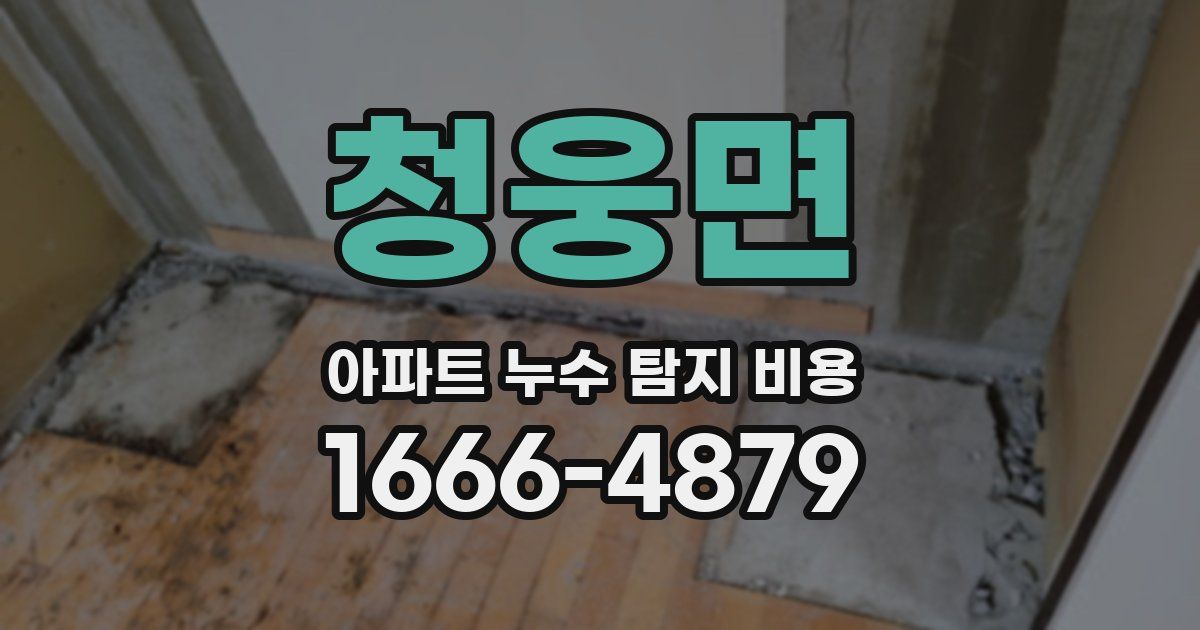 청웅면 아파트 누수 탐지 비용