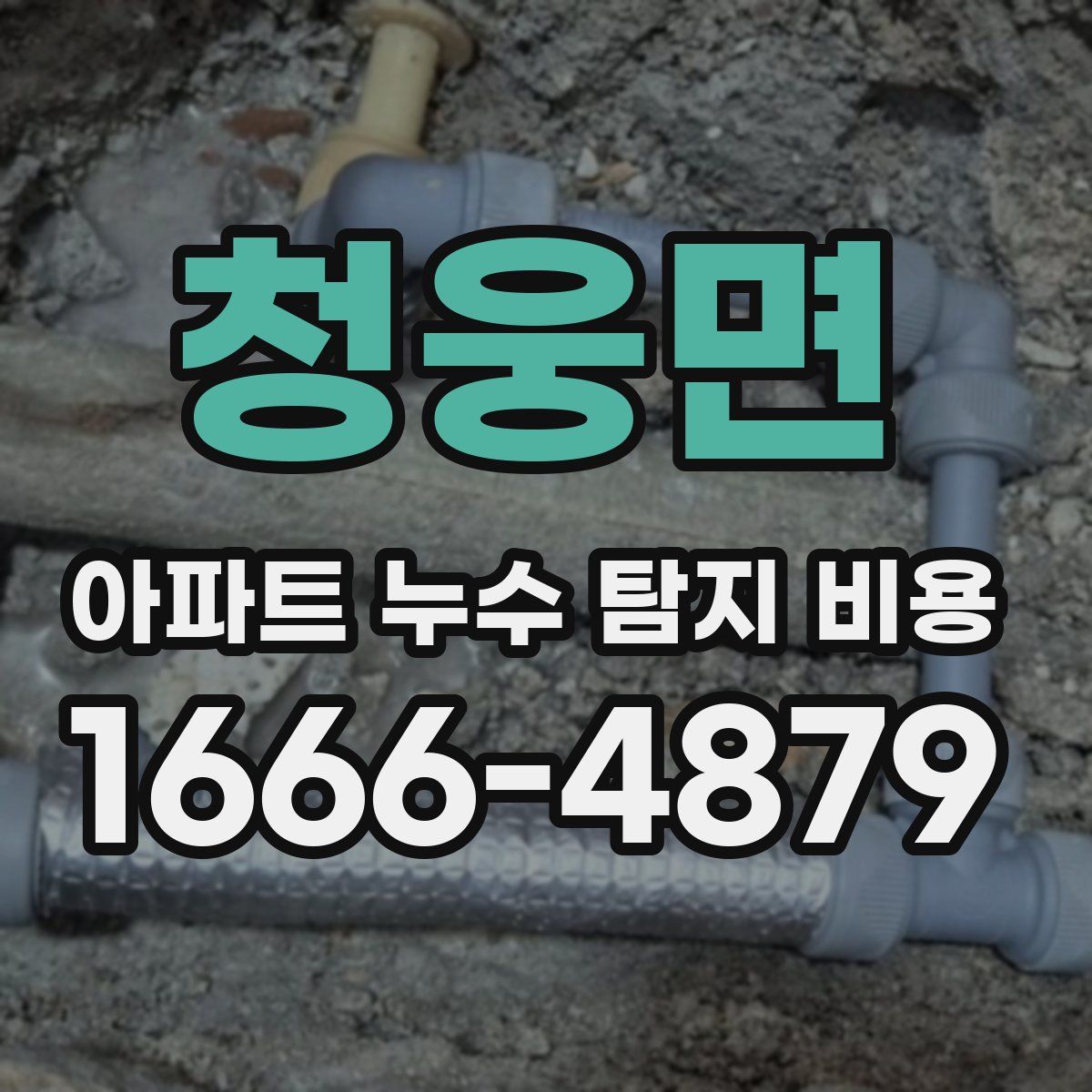 청웅면 아파트 누수 탐지 비용