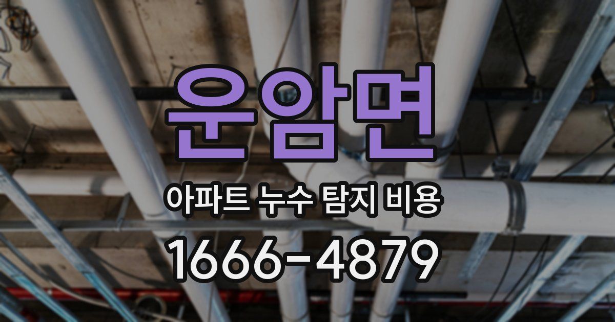 운암면 아파트 누수 탐지 비용