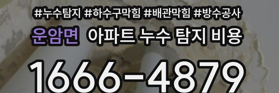 운암면 아파트 누수 탐지 비용