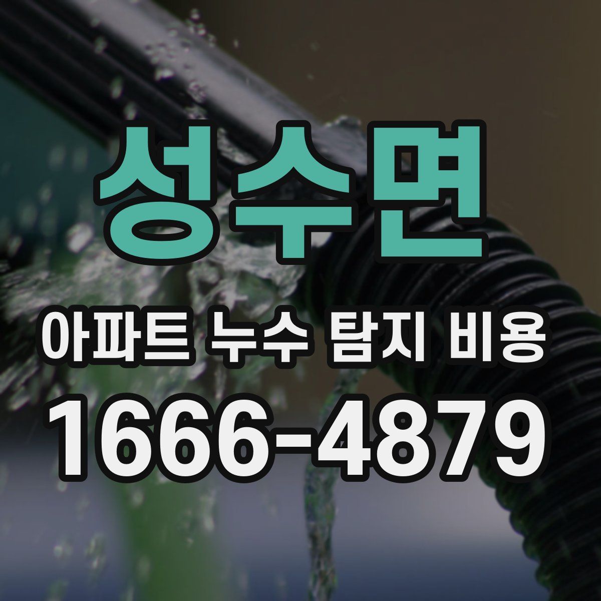 성수면 아파트 누수 탐지 비용