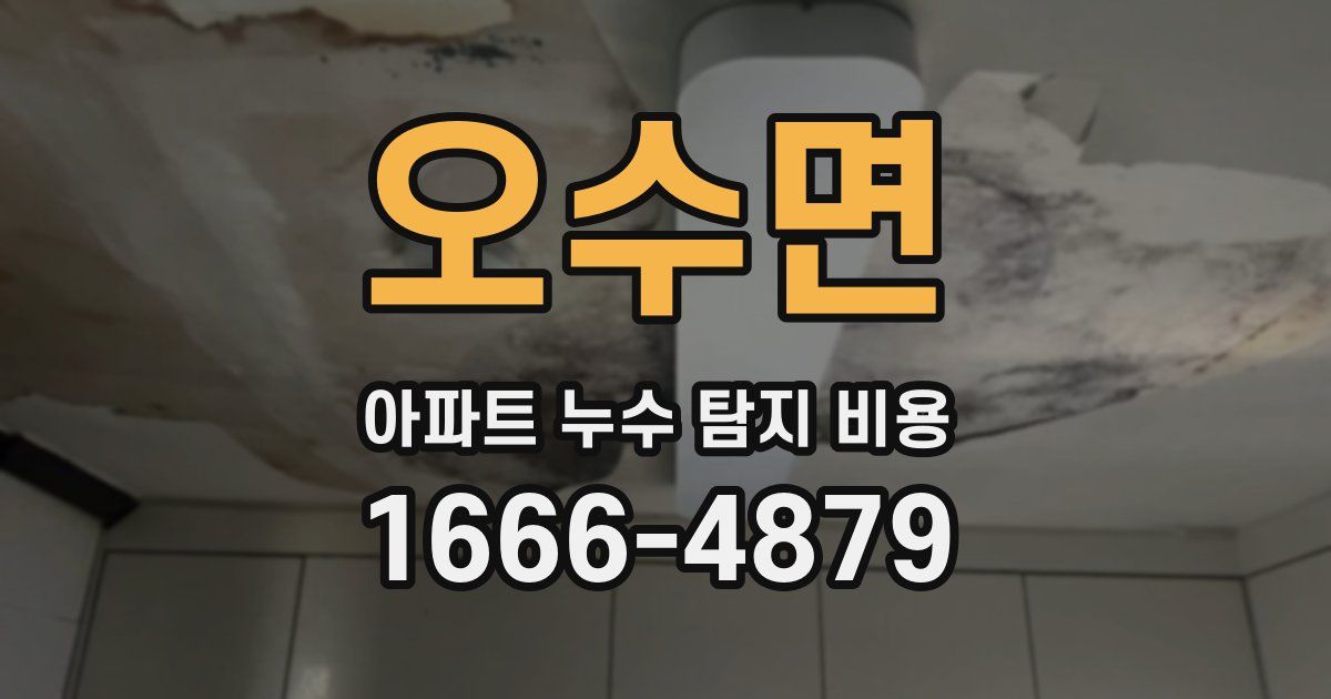 오수면 아파트 누수 탐지 비용