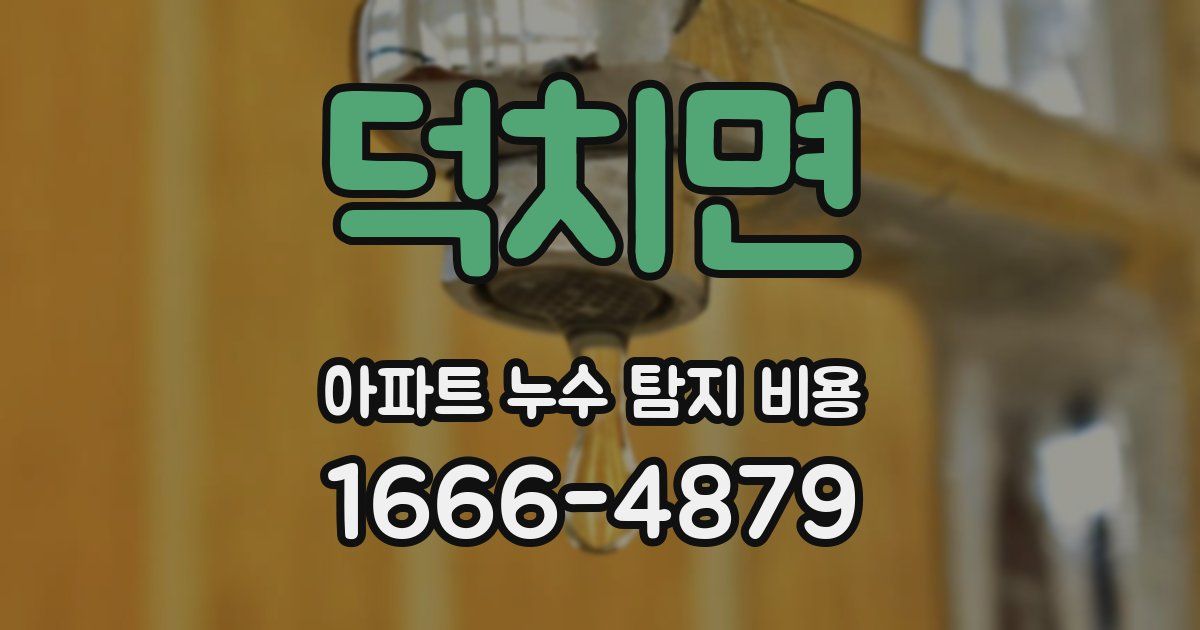 덕치면 아파트 누수 탐지 비용