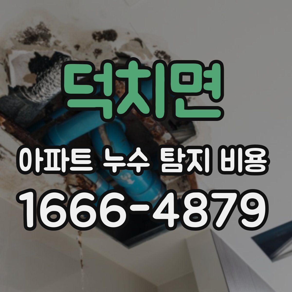 덕치면 아파트 누수 탐지 비용