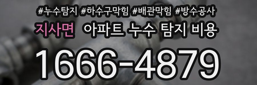 지사면 아파트 누수 탐지 비용