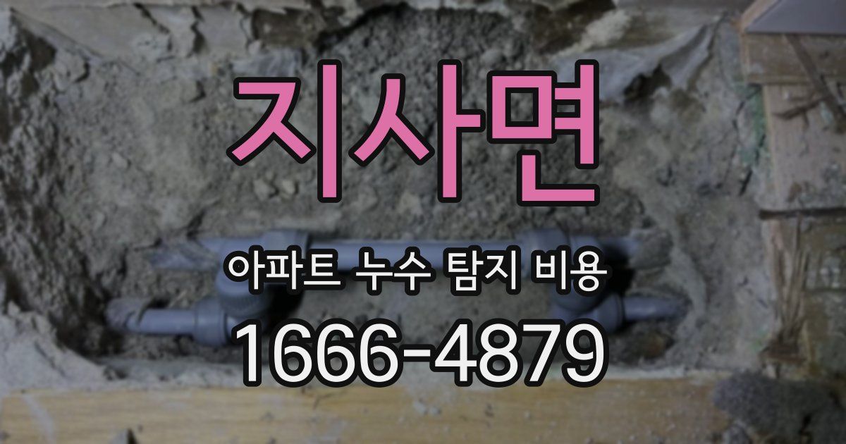 지사면 아파트 누수 탐지 비용