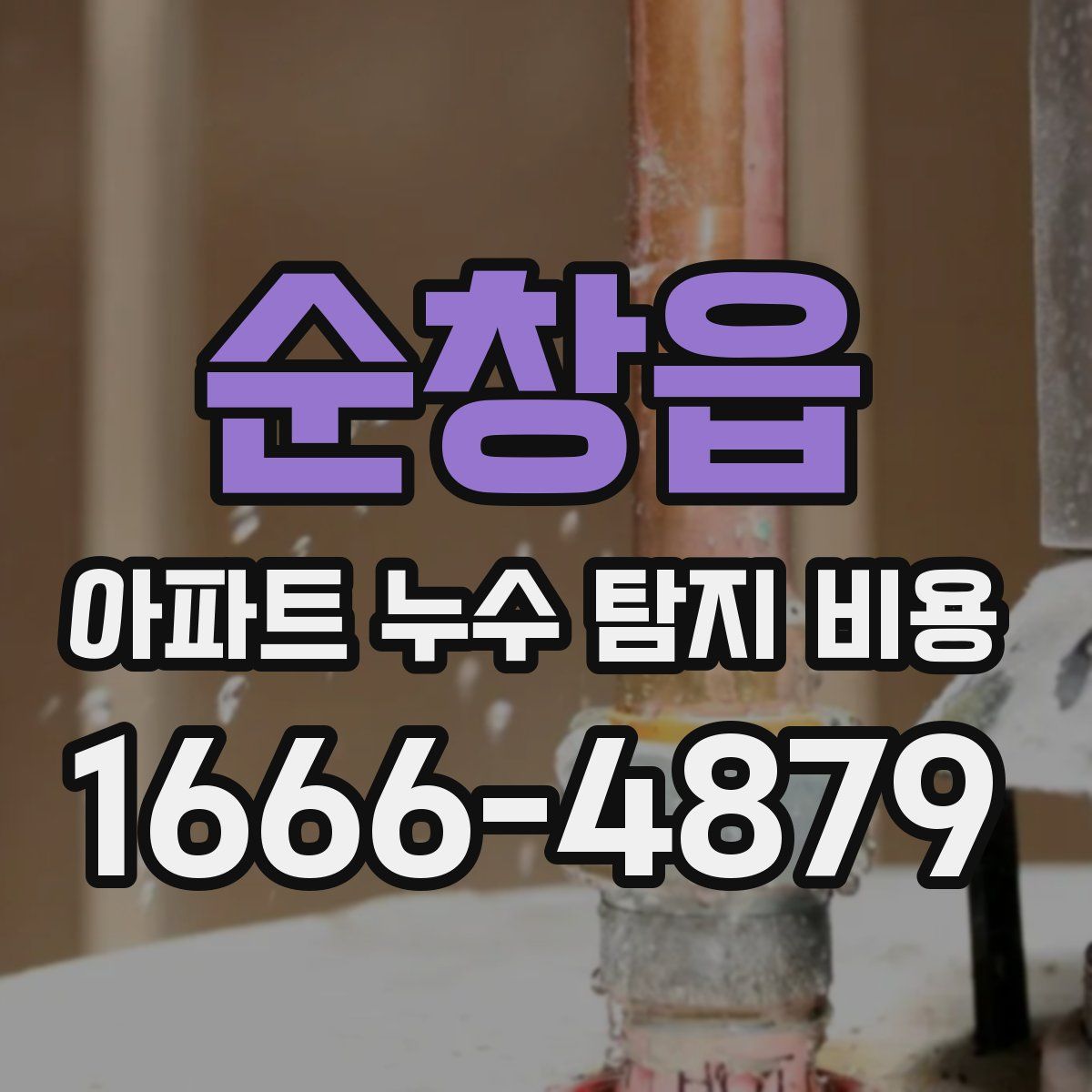 순창읍 아파트 누수 탐지 비용