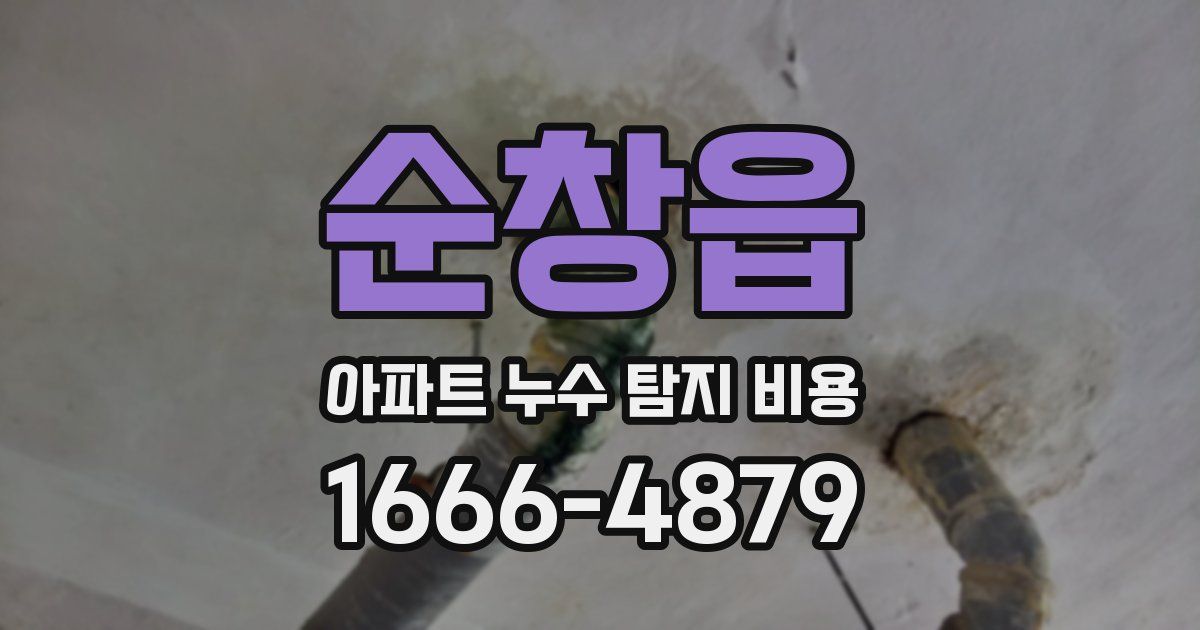 순창읍 아파트 누수 탐지 비용