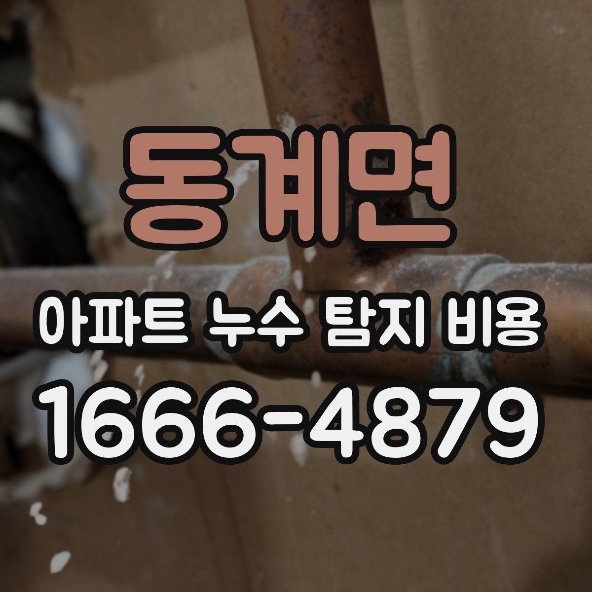 동계면 아파트 누수 탐지 비용