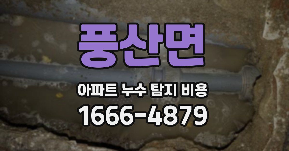 풍산면 아파트 누수 탐지 비용