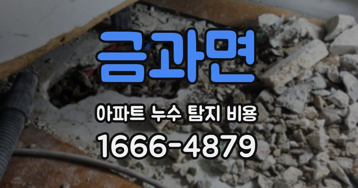 금과면 아파트 누수 탐지 비용