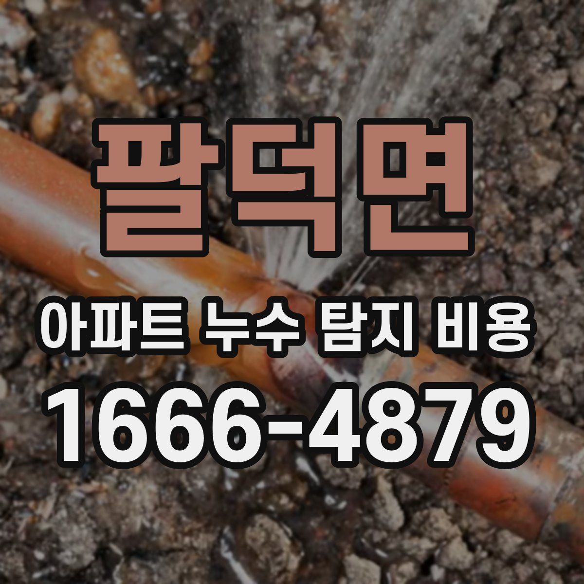 팔덕면 아파트 누수 탐지 비용