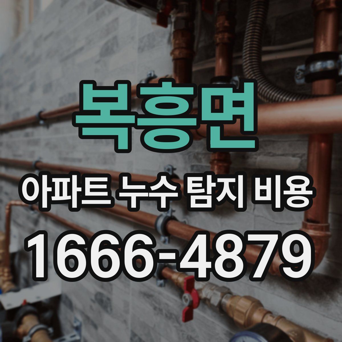 복흥면 아파트 누수 탐지 비용
