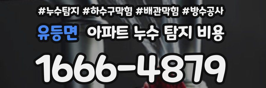 유등면 아파트 누수 탐지 비용