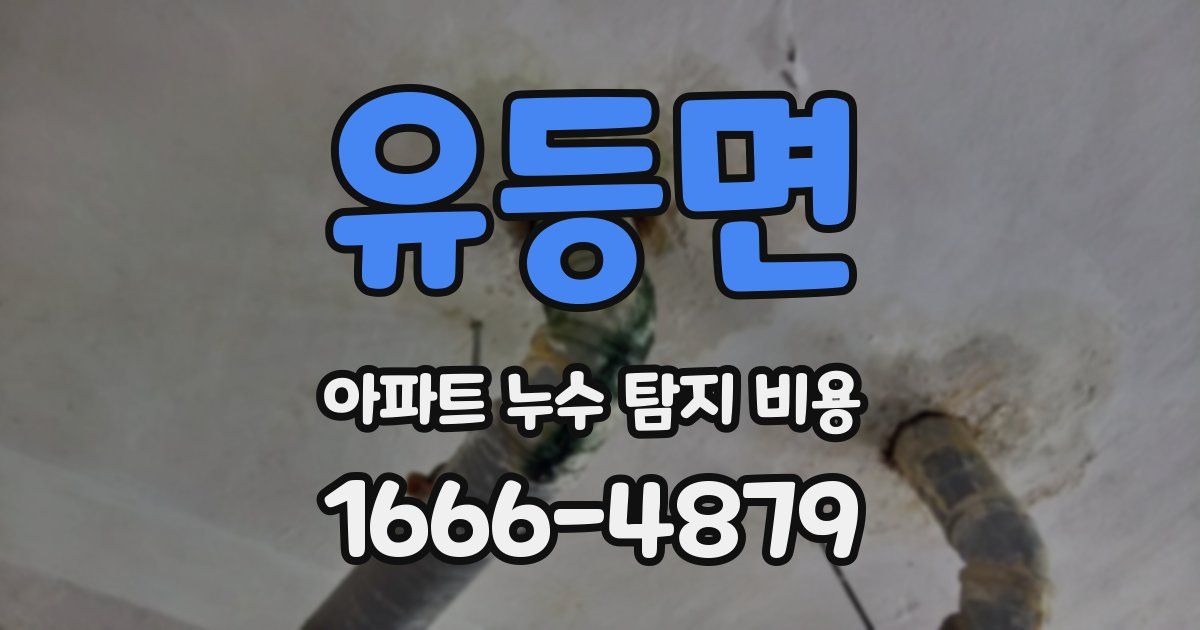 유등면 아파트 누수 탐지 비용