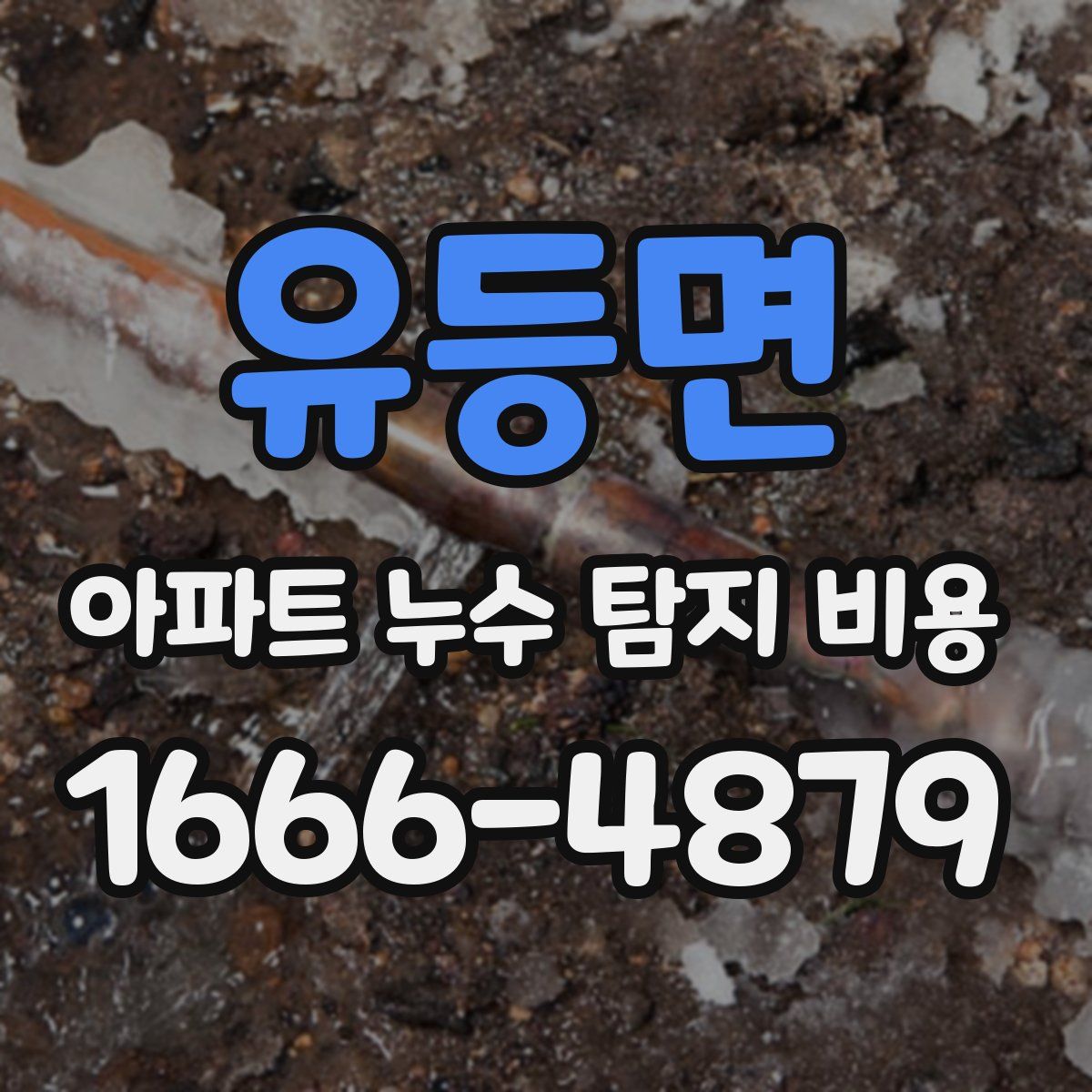 유등면 아파트 누수 탐지 비용