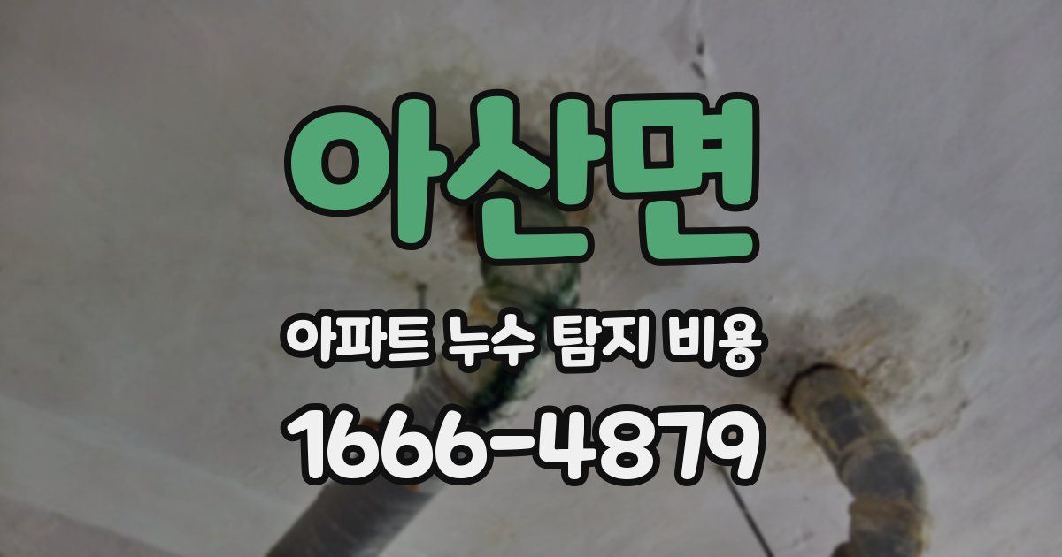 아산면 아파트 누수 탐지 비용
