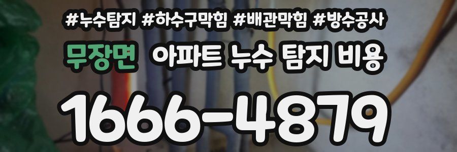 무장면 아파트 누수 탐지 비용