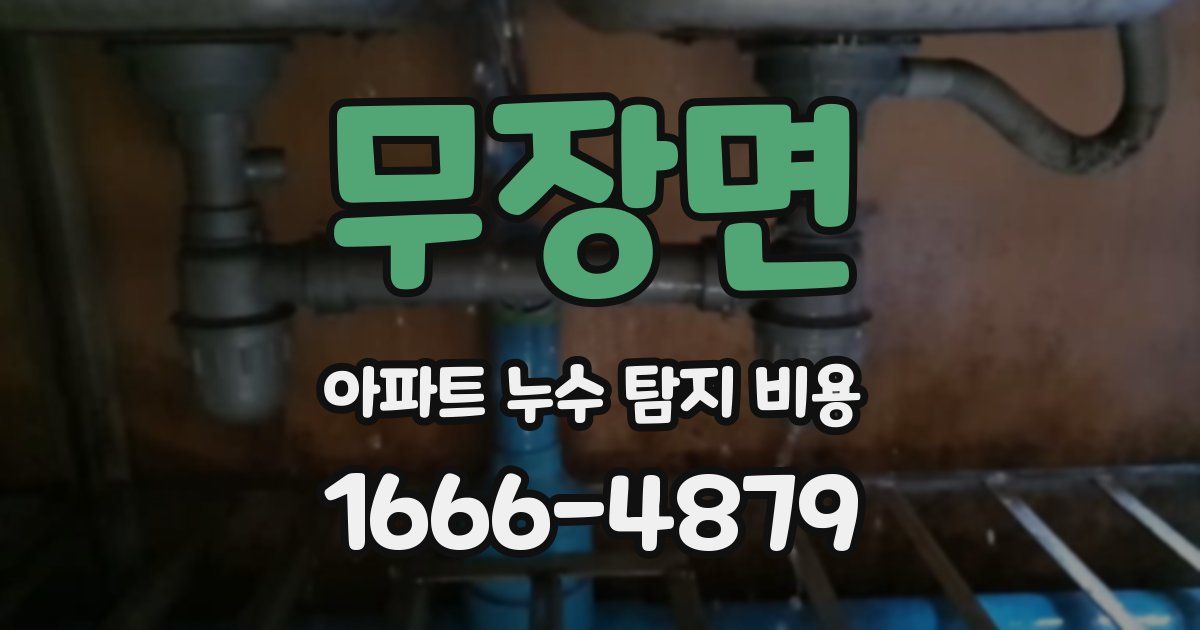무장면 아파트 누수 탐지 비용