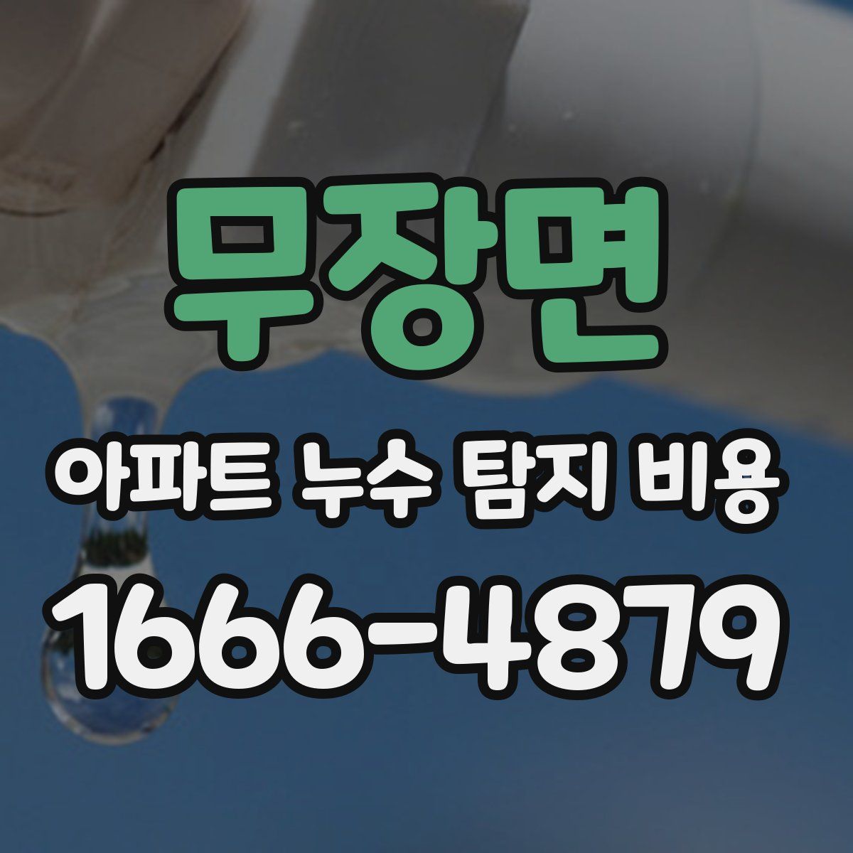 무장면 아파트 누수 탐지 비용
