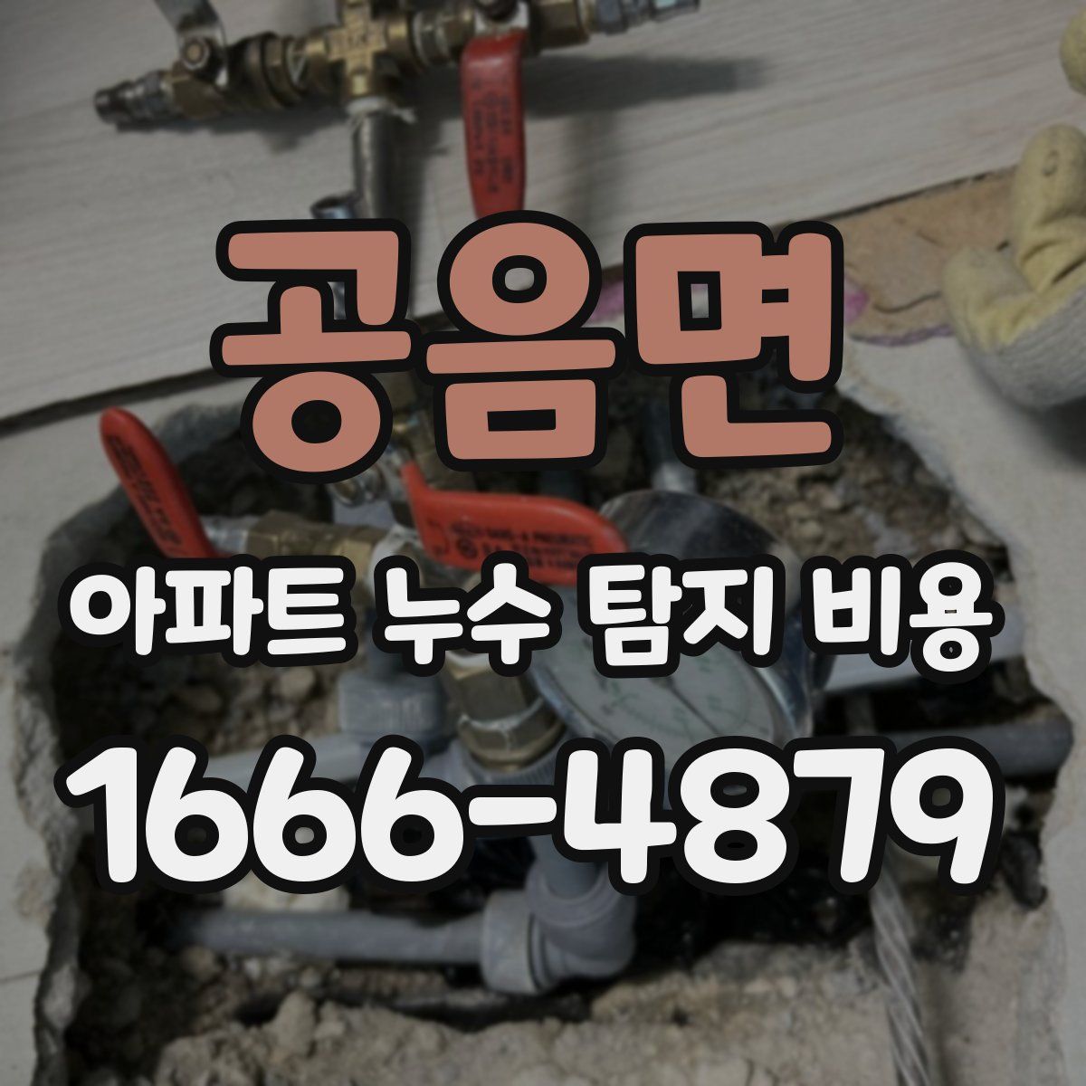 공음면 아파트 누수 탐지 비용