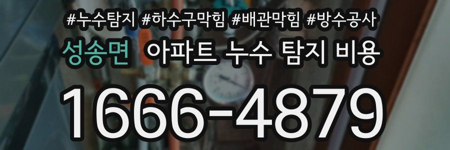 성송면 아파트 누수 탐지 비용
