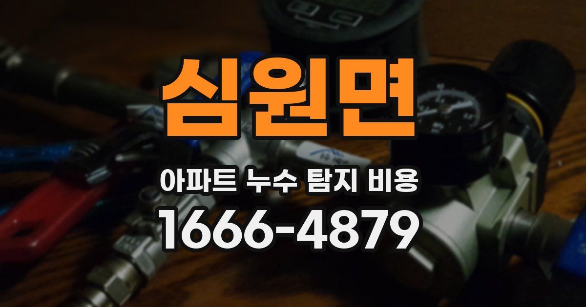 심원면 아파트 누수 탐지 비용