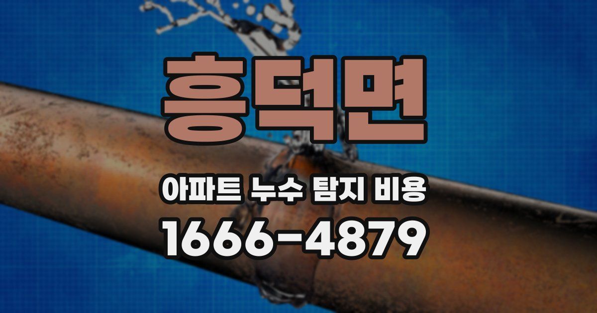 흥덕면 아파트 누수 탐지 비용