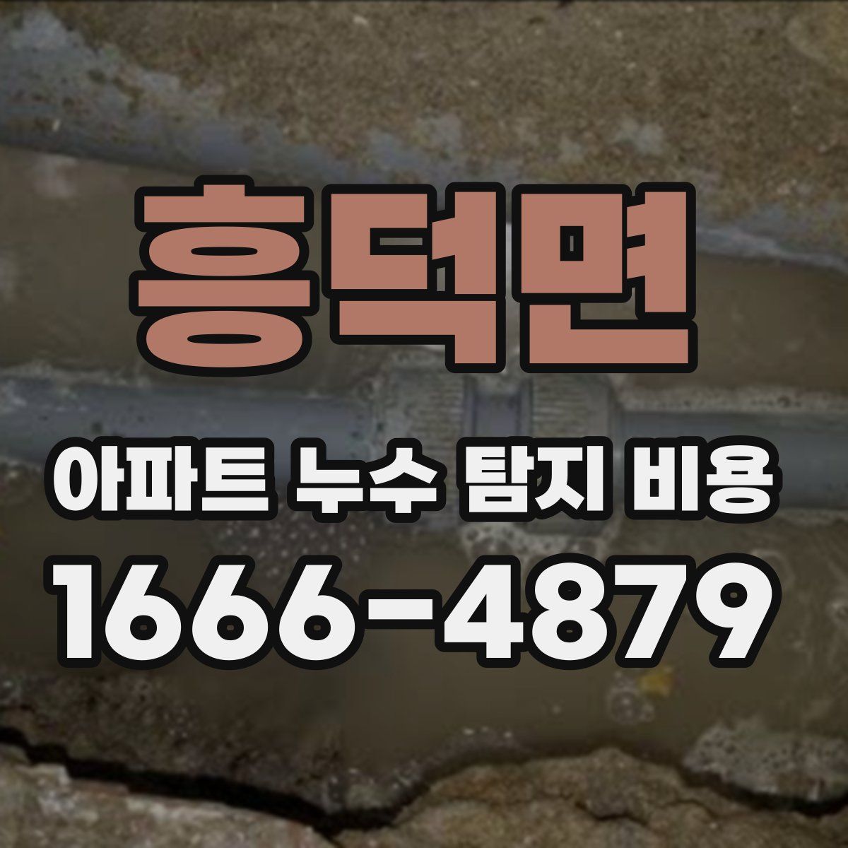 흥덕면 아파트 누수 탐지 비용