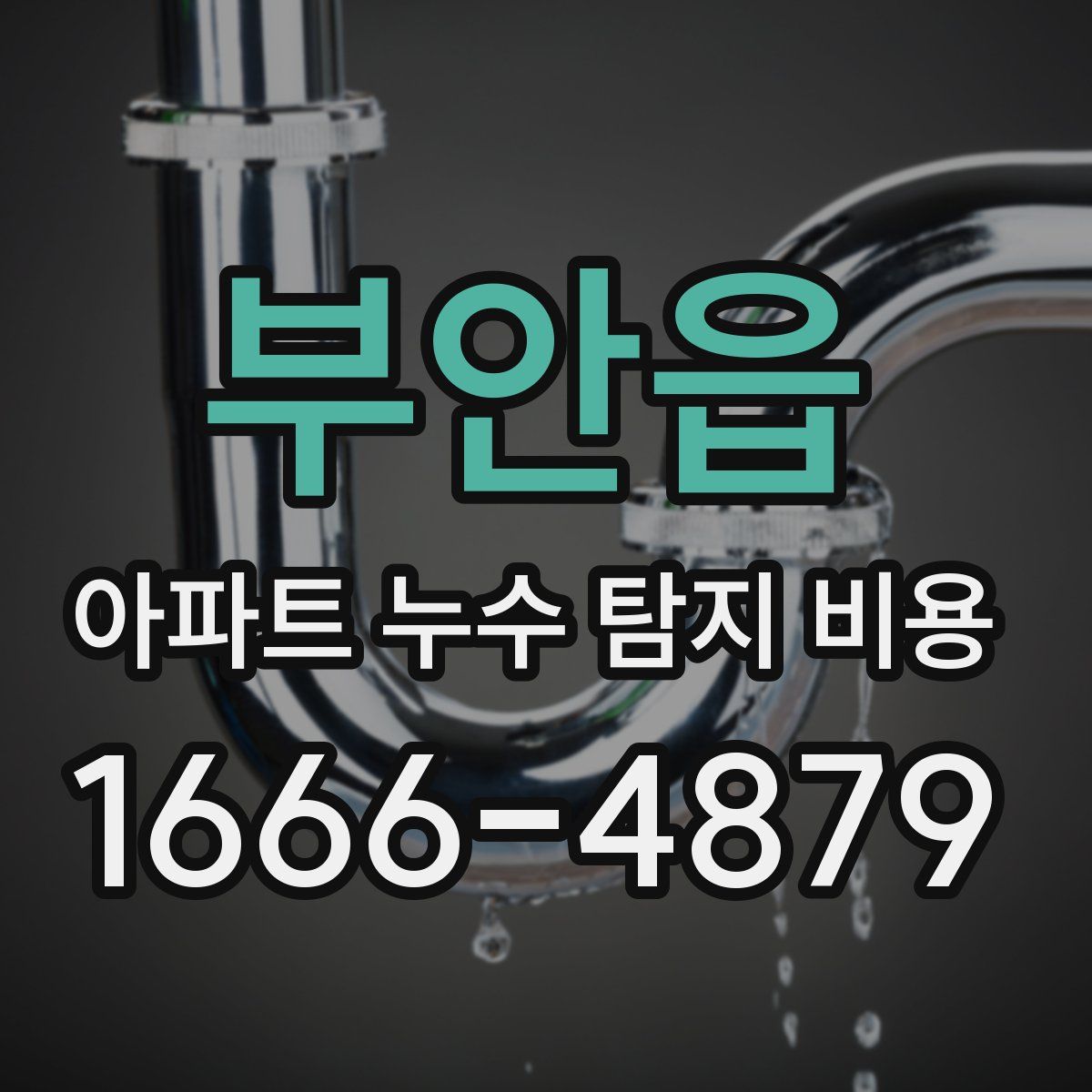 부안읍 아파트 누수 탐지 비용