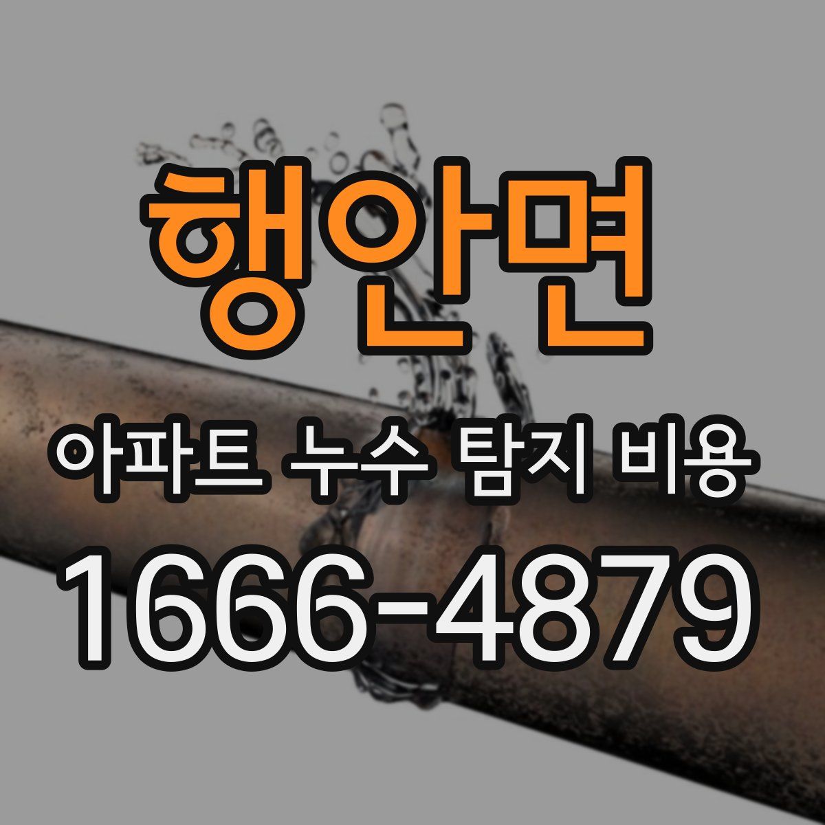 행안면 아파트 누수 탐지 비용