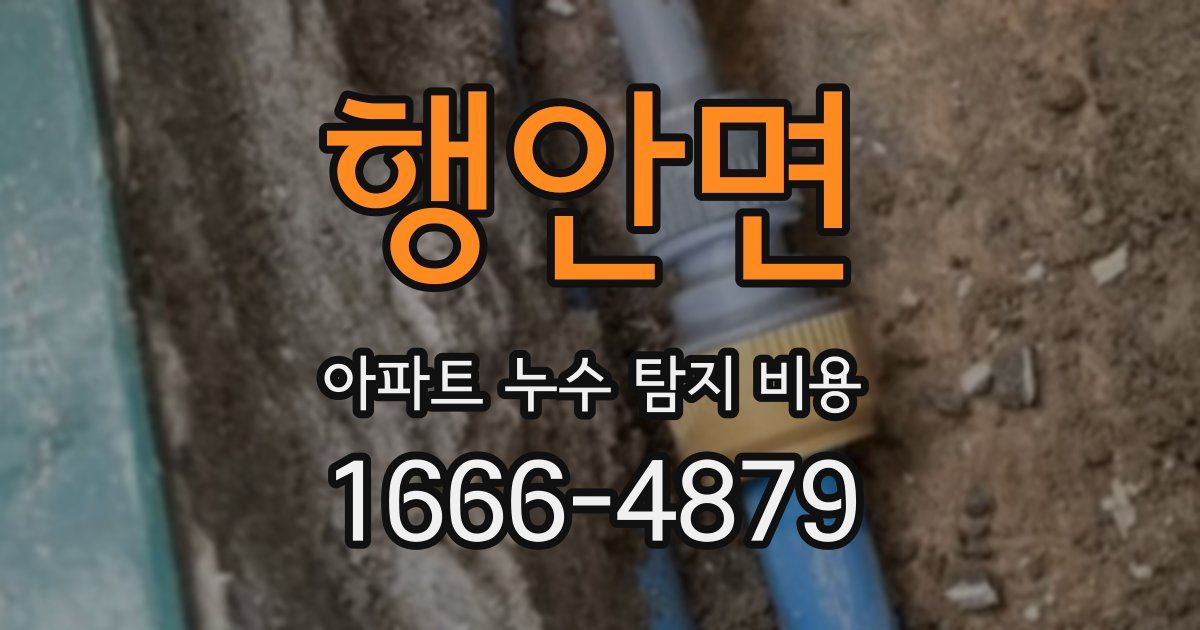 행안면 아파트 누수 탐지 비용