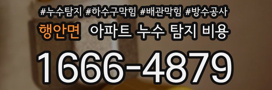 행안면 아파트 누수 탐지 비용