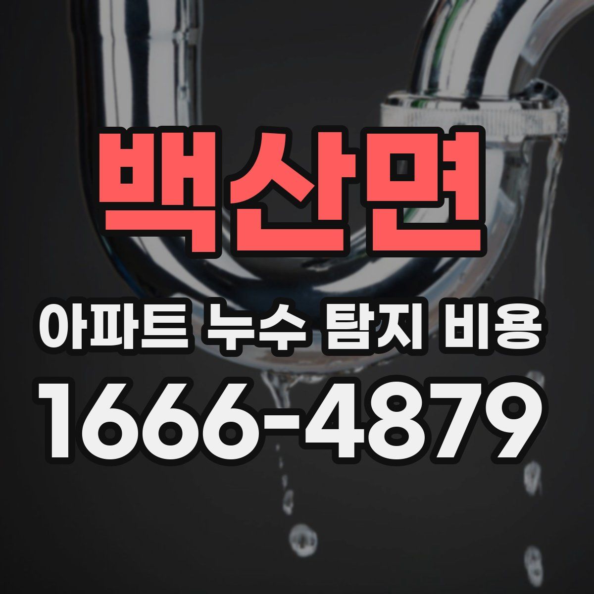 백산면 아파트 누수 탐지 비용