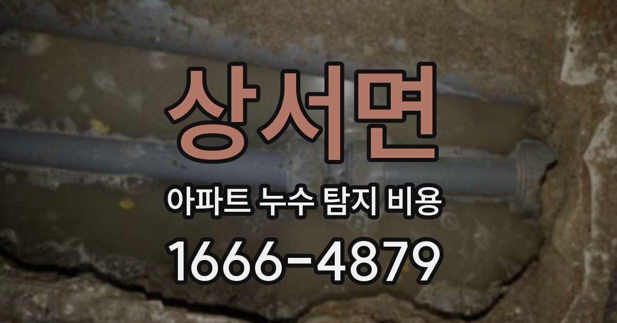 상서면 아파트 누수 탐지 비용