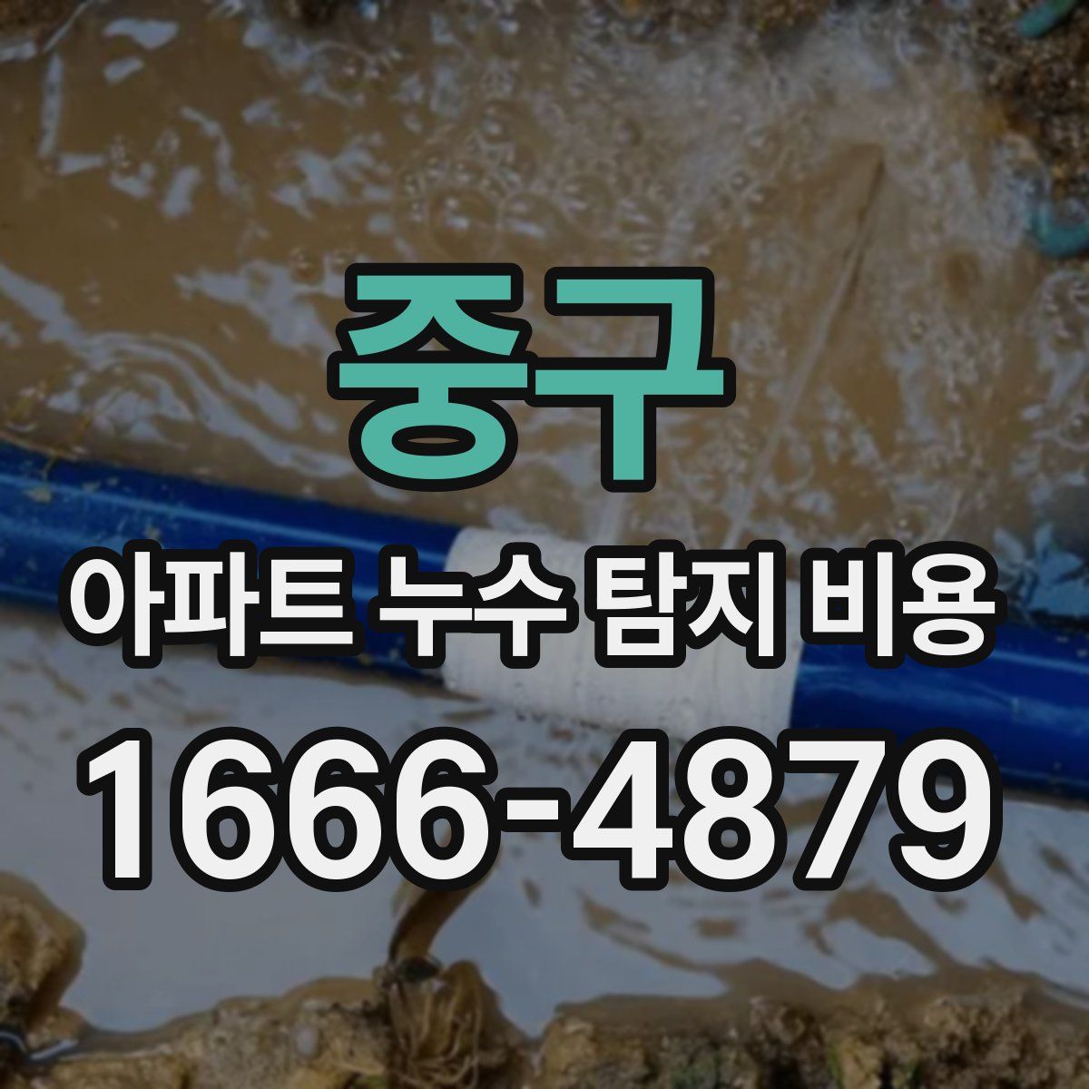 중구 아파트 누수 탐지 비용