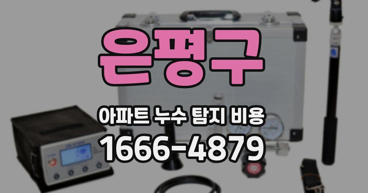 은평구 아파트 누수 탐지 비용