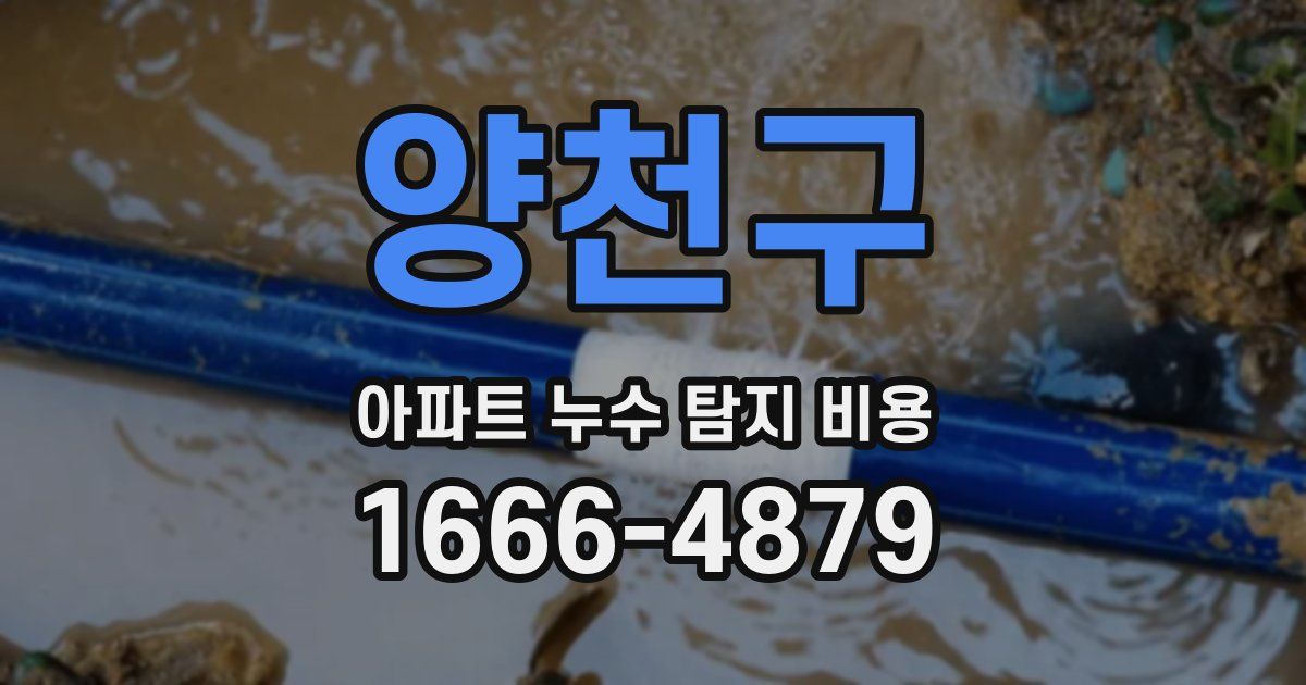 양천구 아파트 누수 탐지 비용