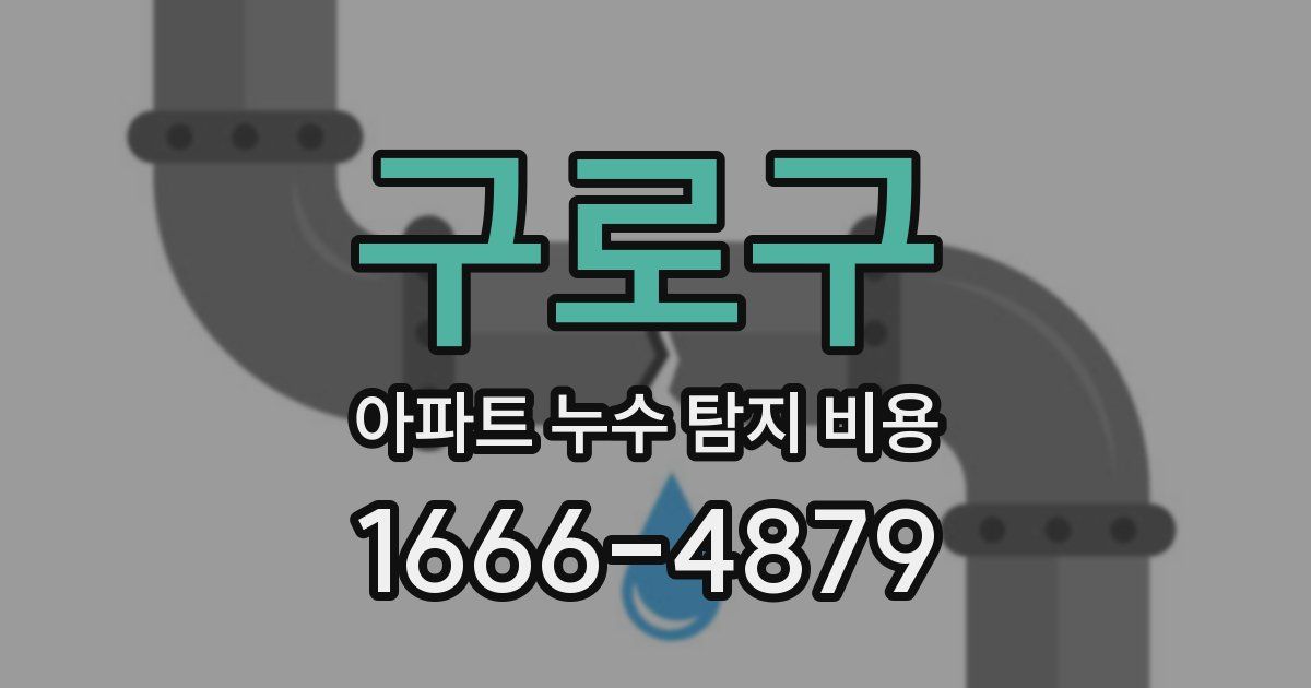 구로구 아파트 누수 탐지 비용